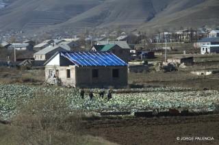 RECOGIENDO BERZA EN UN PUEBLO CERCA DE VANADZOR, ARMENIA