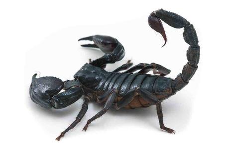 Cómo mantener la tensión en una novela