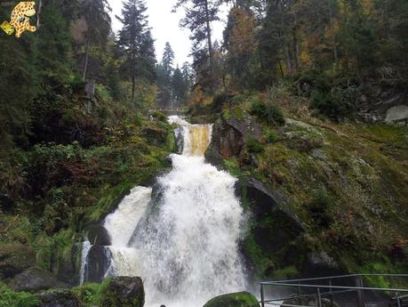 Selva Negra y Baviera en 1 semana: Itinerario y presupuesto