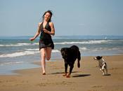 montaña rusa emociones terapias conducta perro