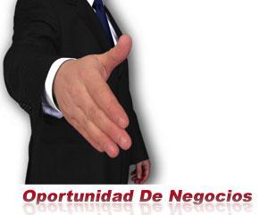 oportunidad de negocios