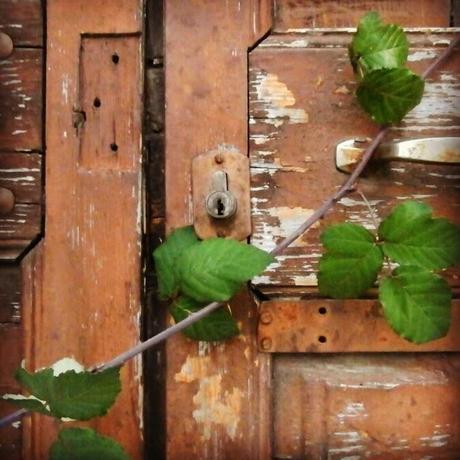 Septiembre instagramizado