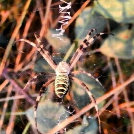 Septiembre instagramizado