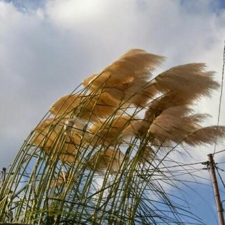 Septiembre instagramizado