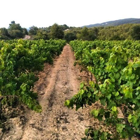 Septiembre instagramizado