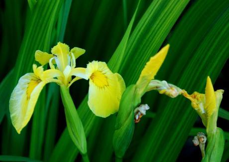 EN BUSCA DE LA FELICIDAD, PERDIDA (I) En busca de la felicidad, perdida (I)