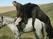 caballos hombres (2013)