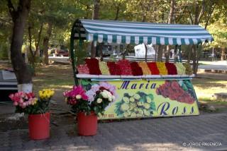 PUESTO DE FLORES EN YEREVÁN