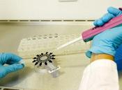 Enterovirus: Separar Mitos hechos