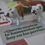 #moodboard #helloblogging #hellocreatividad