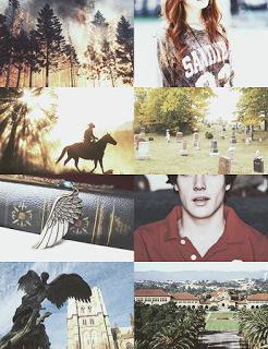 Reseña - El designio del Angel