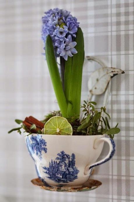 Y tú, ¿dónde las plantas?