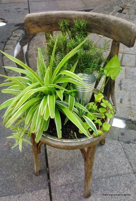 Y tú, ¿dónde las plantas?