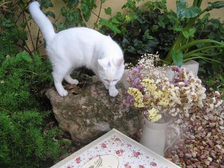 Otra versión de caja de vino
