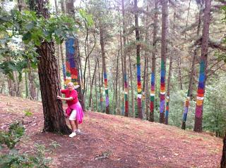 El Bosque de Oma, la obra maestra de Agustín Ibarrola.