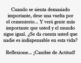 NADIE ESTÁ DE VUELTA