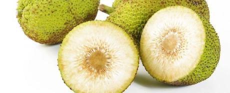 Yaca, el árbol de vida para un mundo con hambre