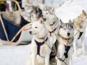 Vidaanna entorno invernal