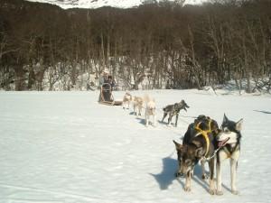 Patagonia Argentina (III): Ushuaia, el Fin del Mundo