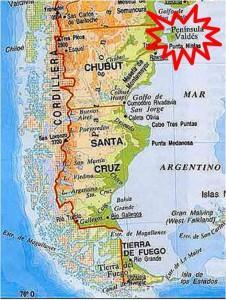 Patagonia Argentina (I): Península Valdés