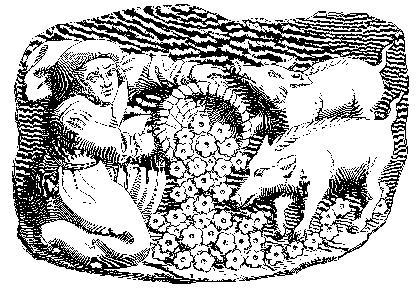 Albondigones, Carracuca y el Barco del Arroz Albondigones, Carracuca y el Barco del Arroz