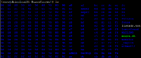 listado de directorio por DBigCloud