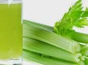 apio adelgaza naturalmente