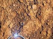 editorial desván memoria propone nuevo libro: fosa