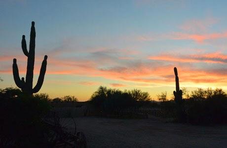Road Trip, Arizona, Scottsdale,