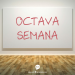 Pronokal: octava semana