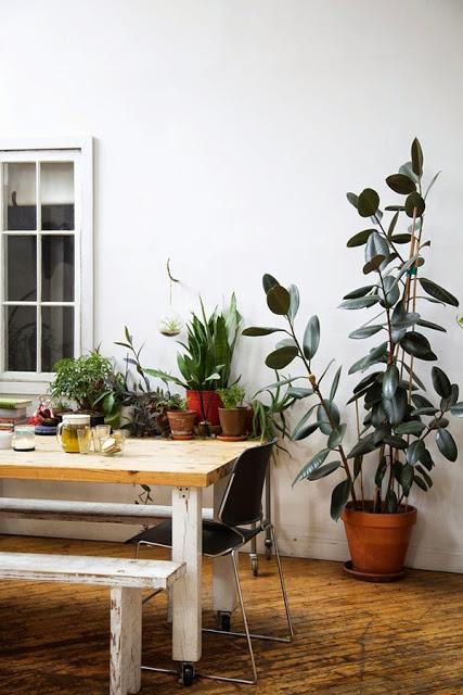 Comedores en los que me apetece comer....