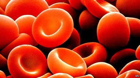 Artículo de investigación , Proteína de la remolacha podría sustituir a la sangre humana hemo