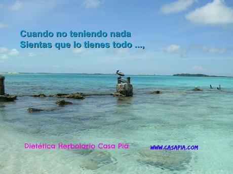 hijo-del-planeta-3-728 re