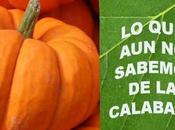 Beneficios consumir calabaza diariamente