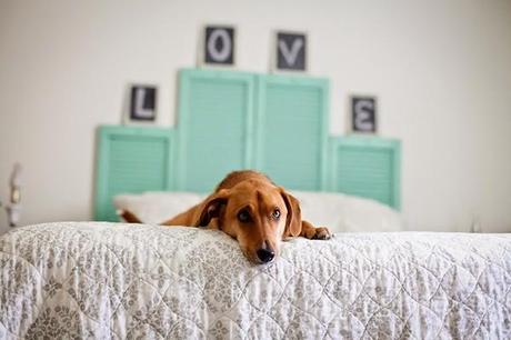 diy-cabecero-madera-turquesa-hazlo-tu