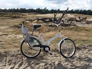 Día 8: Ruta 6: Maastricht - Parque Nacional Hoge Veluwe - Arnhem