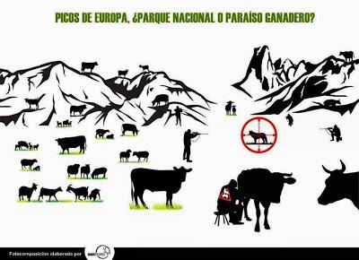 Los cazadores asturianos podrán matar lobos y los Parques Nacionales se convierten en reservas de caza
