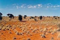 Aridez extrema (Kalahari)