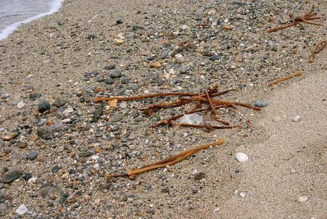 Cosas del mar baldaio_56_20140405 - Version 2