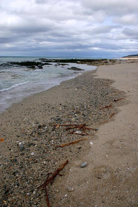 Cosas del mar baldaio_54_20140405 - Version 2