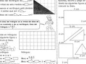 Área triángulo: grado