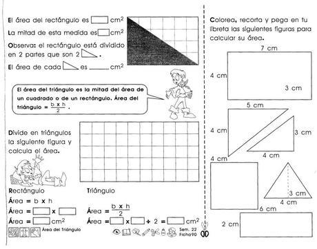 Área del rectángulo (2)