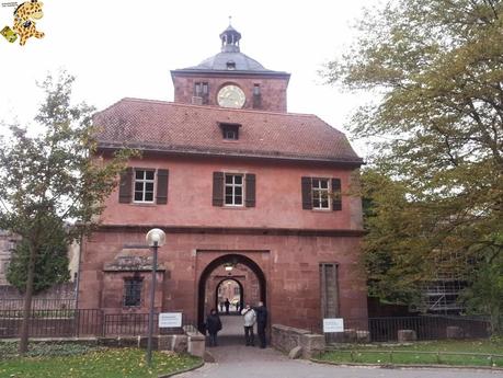 Qué ver en Heidelberg - Alemania