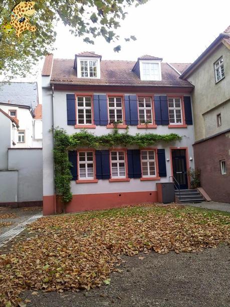 Qué ver en Heidelberg - Alemania