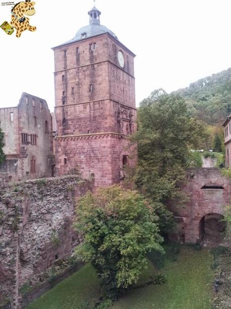 Qué ver en Heidelberg - Alemania