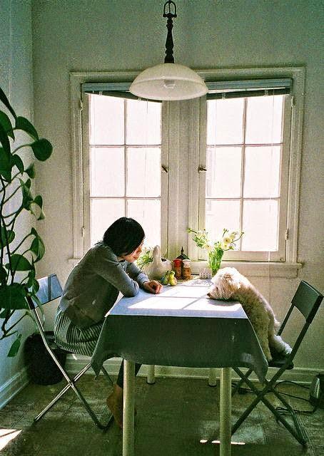 8 alimentos que tu mascota nunca debería probar