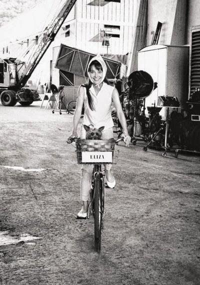 Resumen de la semana I