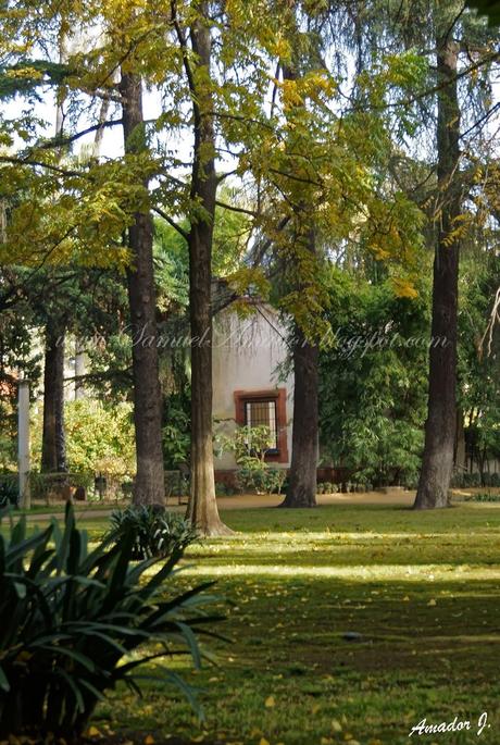 SEVILLA: REALES ALCÁZARES...Parte II: JARDINES