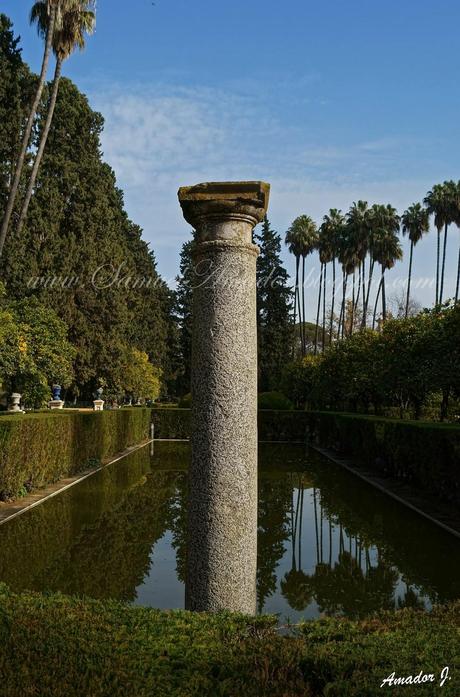 SEVILLA: REALES ALCÁZARES...Parte II: JARDINES