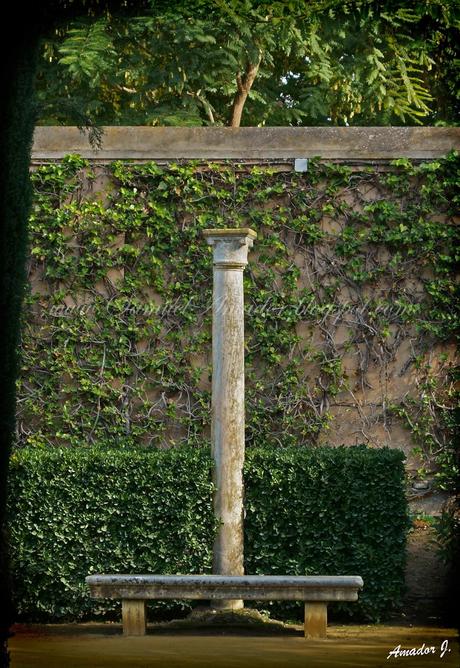 SEVILLA: REALES ALCÁZARES...Parte II: JARDINES